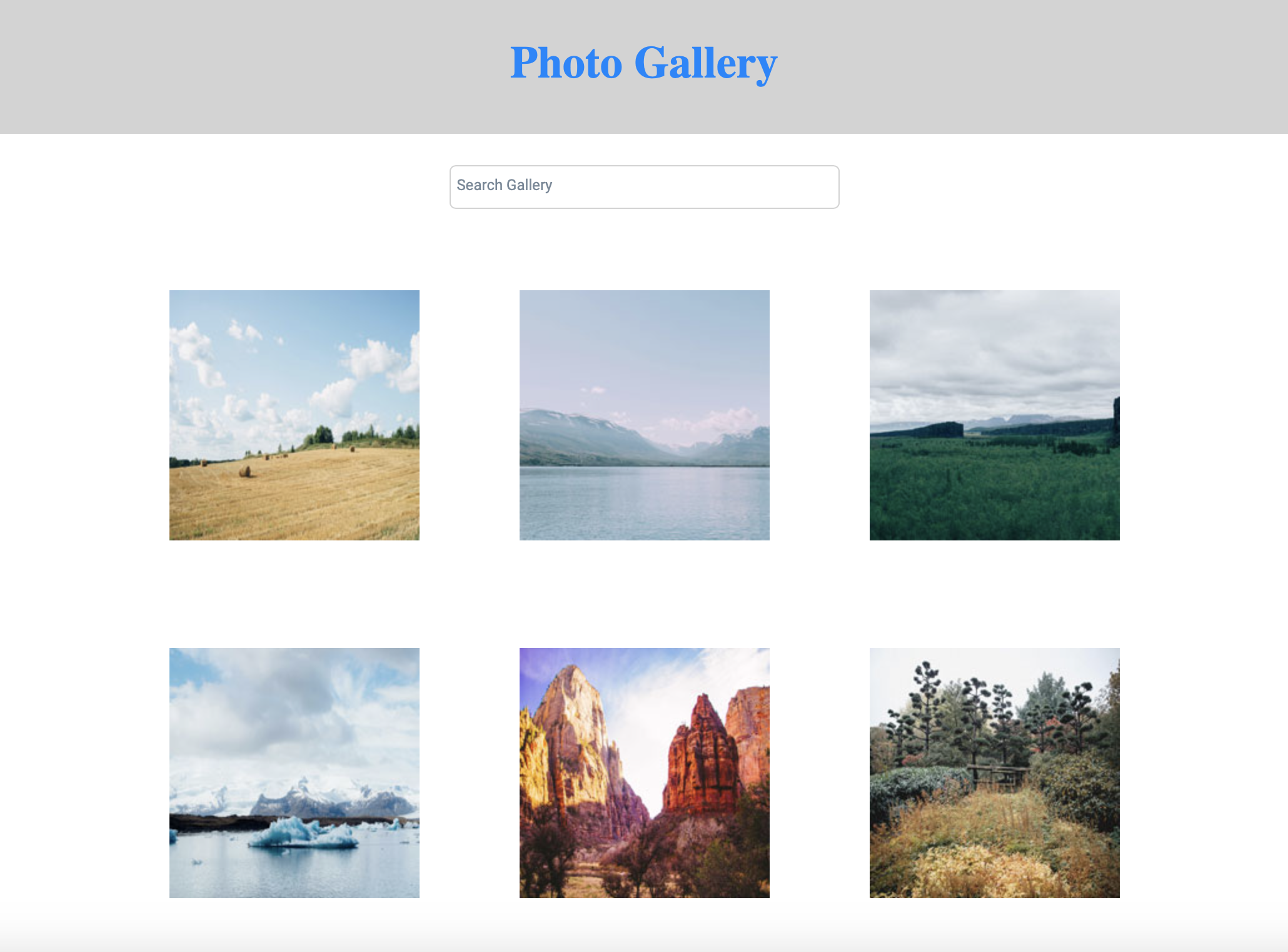 photo gallery layout